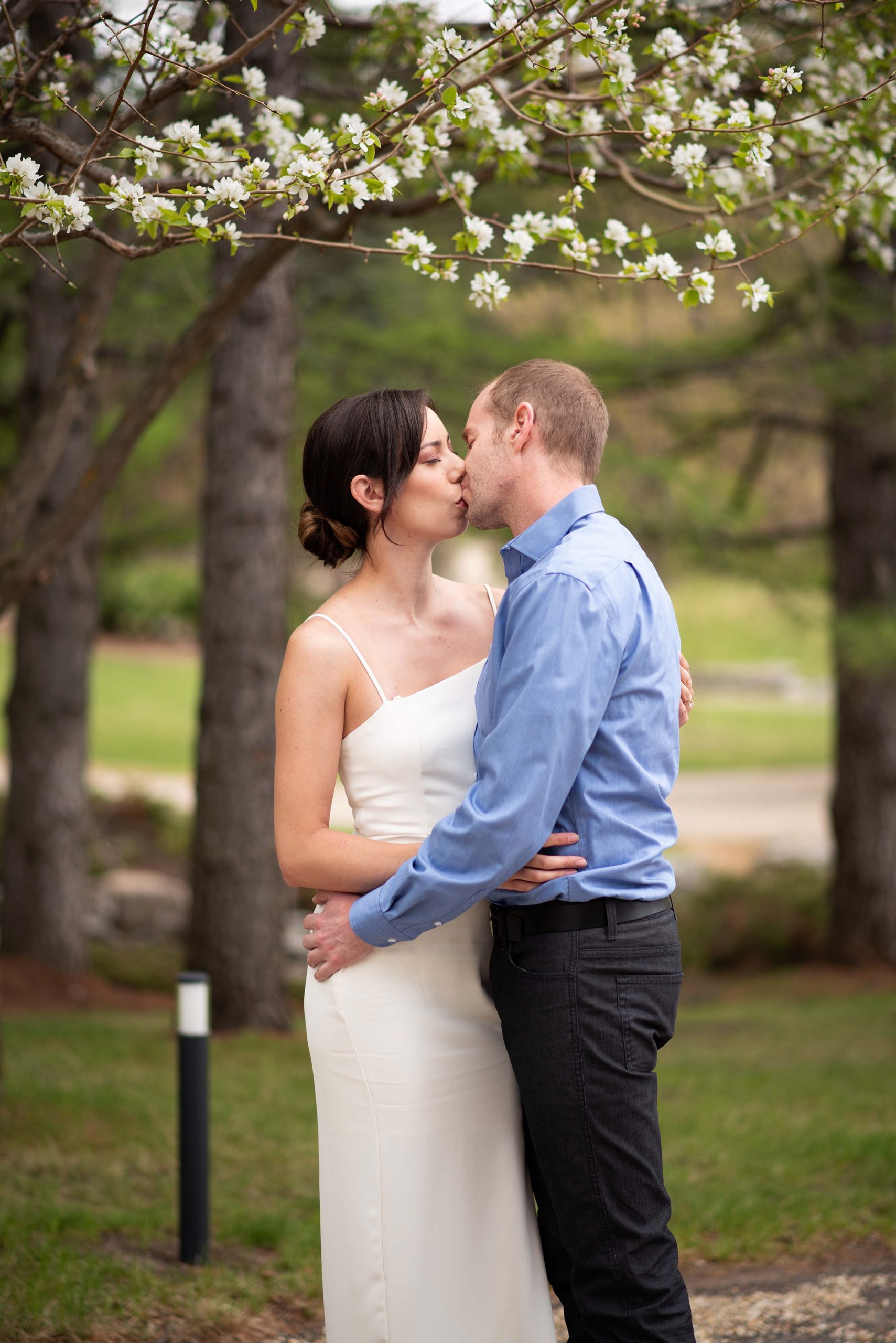 Couple kissing in a park under white flowers Edmonton engagement photography